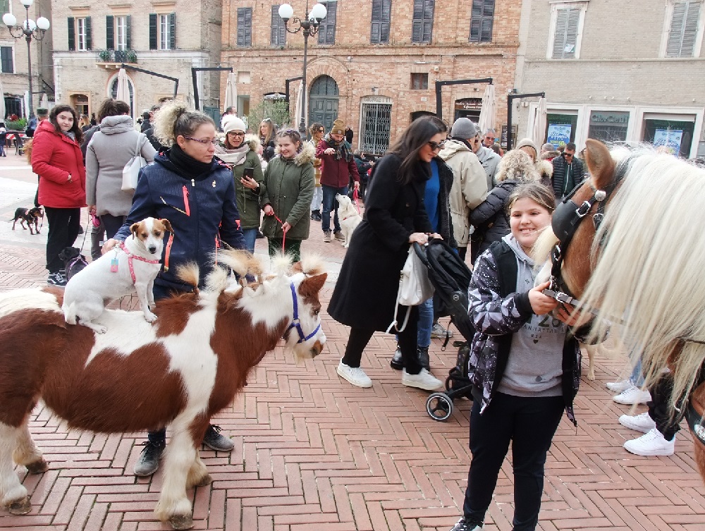 benedizione degli animali in piazza Leopardi in occasione di Sant'Antonio -2023