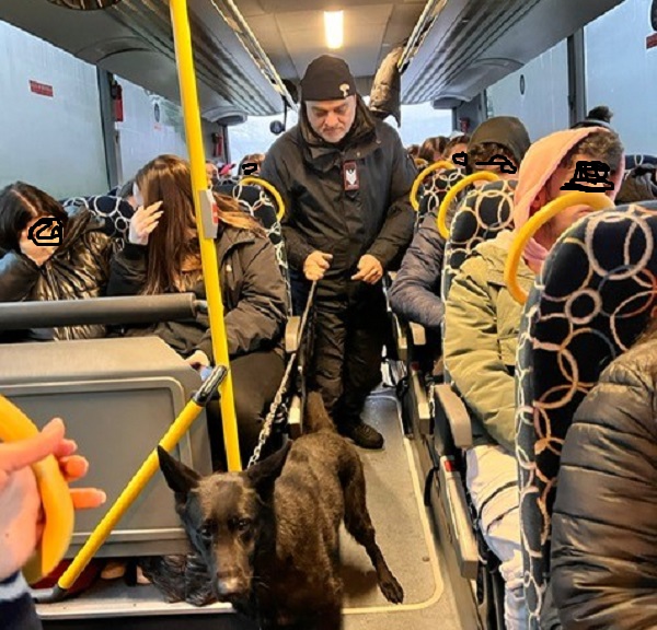 carabinieri-cane-scuolabus